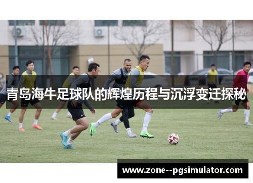 青岛海牛足球队的辉煌历程与沉浮变迁探秘