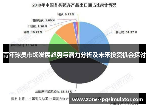 青年球员市场发展趋势与潜力分析及未来投资机会探讨