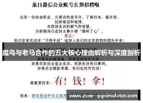 魔鸟与老马合作的五大核心理由解析与深度剖析